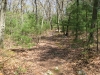 trail-to-rock_wm.jpg