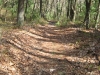 trail_wm.jpg