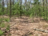 winding-trail_wm.jpg