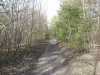 trail_wm.jpg