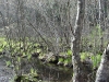water-view_wm.jpg