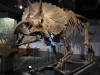 boston-museum-science-4.jpg
