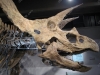 boston-museum-science-5.jpg
