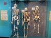 boston-museum-science-9.jpg