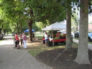 Farmer’s Market