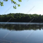 26-populatic-st-franklin-ma-22