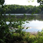 26-populatic-st-franklin-ma-3