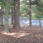 26-populatic-st-franklin-ma-6