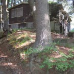 26-populatic-st-franklin-ma-8