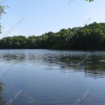 26-populatic-st-franklin-ma-9