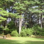 28 Harvard Ln Wrentham MA 02093 - 15