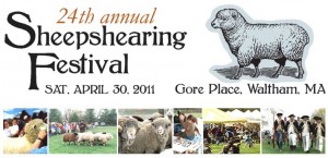 Gore Place Sheep Shearing