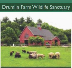 Drumlin Farm Wildlife Sanctuary Lincoln MA