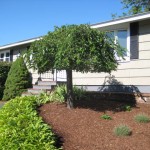 4 David Road Bellingham 02019 - 22
