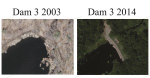 DelCarte Franklin MA Dam3