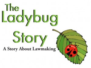 ladybug story