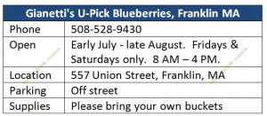 Blueberry-Franklin-MA-Gianettis-U-Pick-info